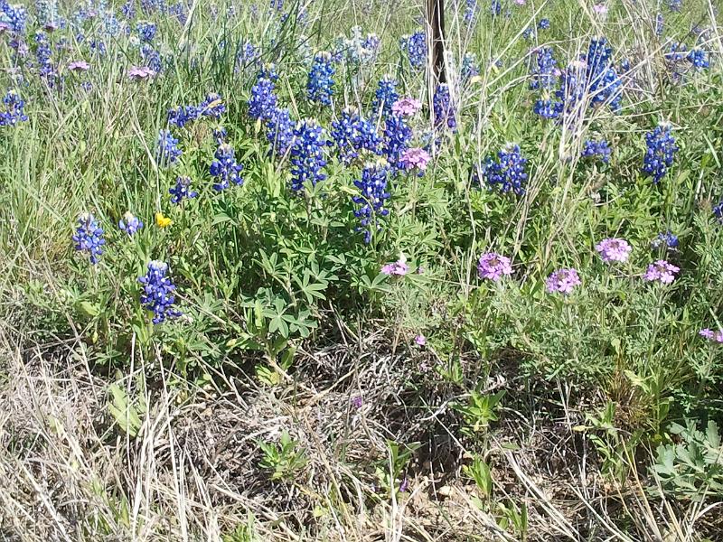 2013-04-14 11.20.29.jpg